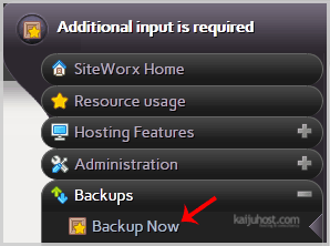 backup-now-option.gif